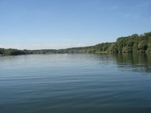 Idyllisch: Das Flussufer des Rheins