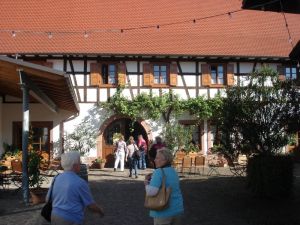 Abendeinkehr auf dem Weingut Stadler in Dierbach