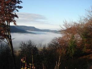 Eindrucksvoll zeigte der Herbst seine besonderen Facetten